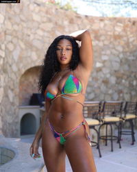 megan thee stallion fap tits boobs bikini Photo